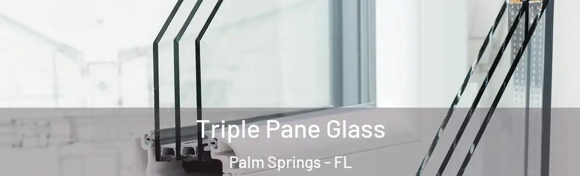  Triple Pane Glass Palm Springs - FL