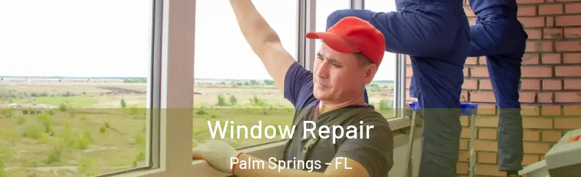  Window Repair Palm Springs - FL